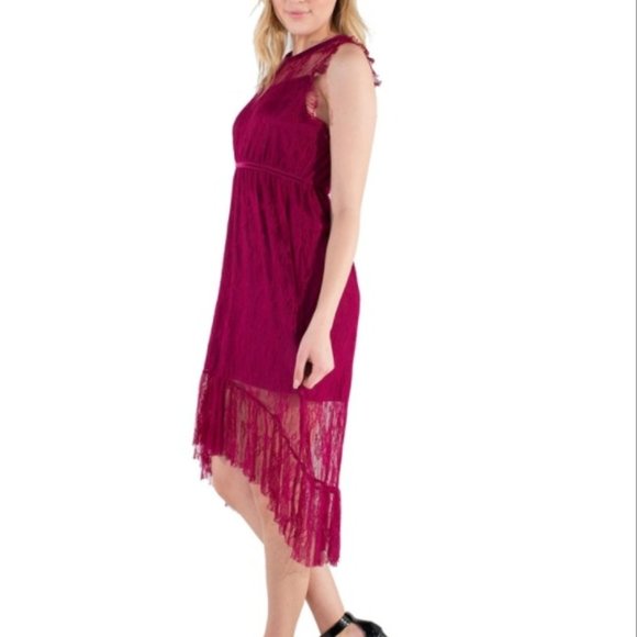 Women's Eyeshadow Sheer Lace Dress with Lining - Picture 3 of 5